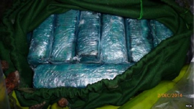 Wow..Kokoin Bernilai Rp769 Miliar di Kargo Pisang