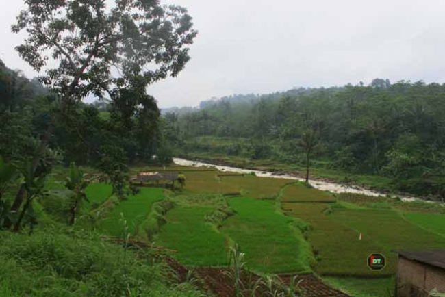 Isu Beredar Harga Tanah Di Cipayung Rp15 Juta Per Meter