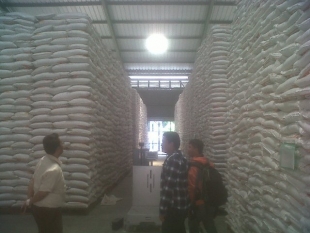 Bulog Serang Jamin Stok Beras Aman