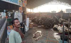 Dianggap Merugikan, Warga Griya Sukses Kota Serang Desak Pemkot Tutup TPS3R Rumah Maggot