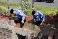 Arief Sidak Gorong-gorong Karang Tengah