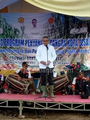 epala Badan Penelitian dan Pengembangan (Balitbang) Kementan Muhamad Syakir