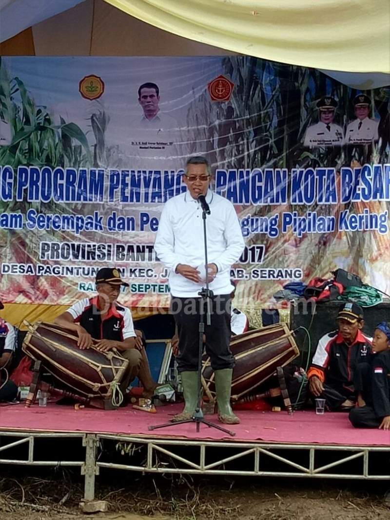 epala Badan Penelitian dan Pengembangan (Balitbang) Kementan Muhamad Syakir
