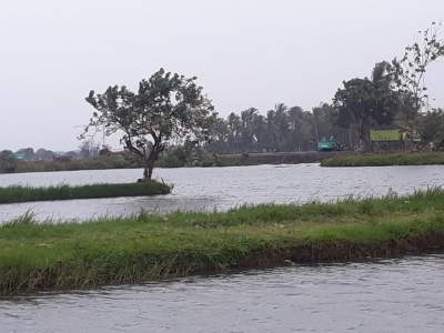 Proyek Megah PIK II, Duka Bagi Warga Teluk Naga