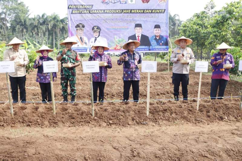 Wabup Tangerang Serahkan Bantuan Kepada Kelompok Tani