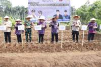 Wabup Tangerang Serahkan Bantuan Kepada Kelompok Tani