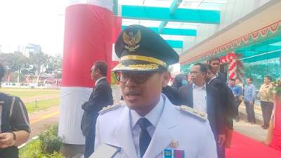 Wakil Walikota Tangsel, Pilar Saga Ichsan