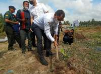 Bupati Serdang Bedagai, Darma Wijaya tanam pohon di bantaran sungai Bedagai.