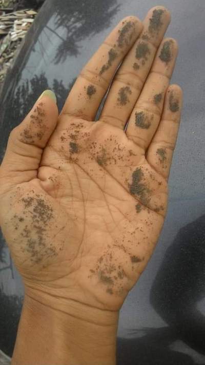 Abu Vulkanik Bertebaran, BMKG Himbau Masyarakat Cilegon-Serang Berhati-hati