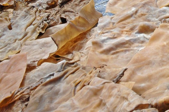 Home Industri Kikil di Grebek Polres Metro Tangerang