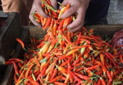 ilustrasi. (Dery Ridwansyah/JawaPos)