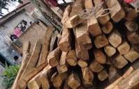 Puluhan Kubik Kayu Haloban Diduga Tidak Memiliki Izin Lengkap Dijalan Pasar Baru