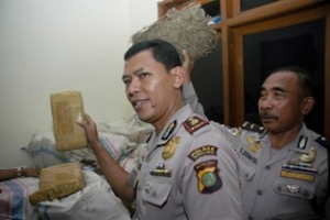 Pamulang- Bandar Ganja Kakap berhasil di ringkusya Polsek Pamulang, 1 Ton di sita, Minggu (8/12)DT