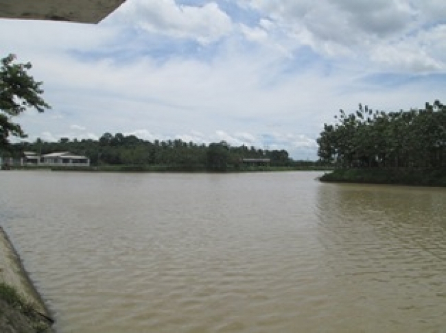 Empat Kelurahan Langganan Puting Beliung