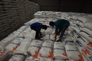 Persediaan Beras Di Bulog Sub Divre Serang Masih Aman Hingga 5 Bulan Kedepan