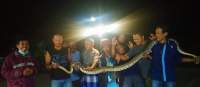 Warga Perumahan Harmony Tangkap Ular Sanca Sepanjang 3,5 Meter