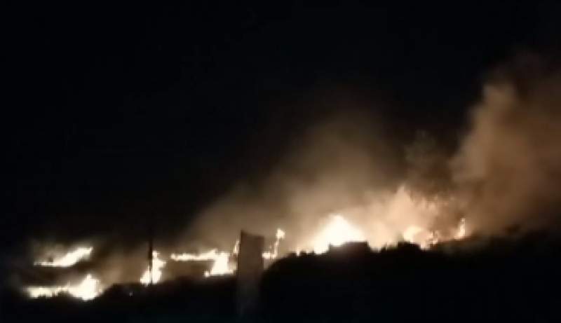 Kebakaran Ilalang di Wilayah Cikasungka, Bikin Warga Panik