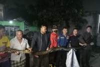 Ular Sanca Ditemukan Didapur Gegerkan Warga Wanakerta