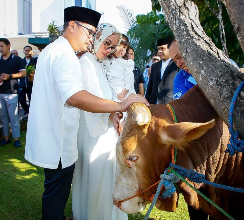 Pilar Sembelih Langsung Hewan Kurban