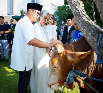 Pilar Sembelih Langsung Hewan Kurban