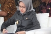 Zaki Mubarok: ' Airin Harus Tegaskan Dirinya Masih Efektif sebagai Walikota Tangsel '
