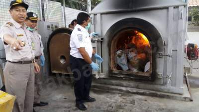 Pemusnahan Kedelai Bervirus oleh Balai Karantina Pertanian Bandara Soekarno Hatta Tangerang