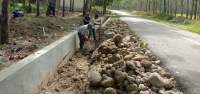 Pekerja perbaiki drainase yang tumbang di Bintang Bayu