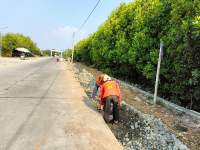 Proyek Pelebaran Jalan Menuju Wisata Religi Pulo Cangkir Kronjo Mulai Dikerjakan