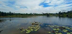 Danau Laut Dendang Serdang Bedagai penuhi cerita mistis.