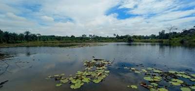 Danau Laut Dendang Serdang Bedagai penuhi cerita mistis.