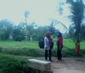 Saniah Bersama PKB Sosialisasi Ke Kampung Pabuaran