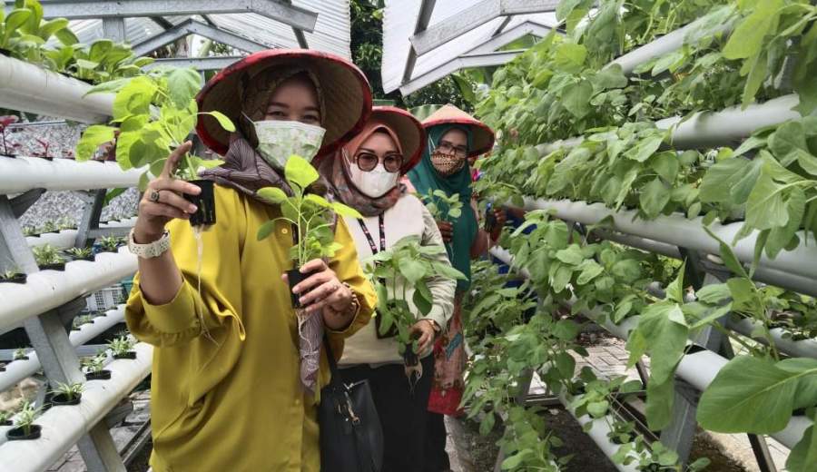 KWT Kemangi, Pakualam terima bantuan dari PT IKPP berupa perlengkapan pertanian hydroponik.