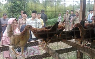 Wakil Bupati Serdang Bedagai Adlin Tambunan Serahkan Bantuan Ternak bagi Warga Desa Silau Rakyat