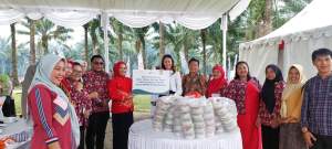 Head of Legal & Corporate Affairs RSI Arum P Handayani menyerahkan bantuan bahan pangan dari ikan tilapia untuk pencegahan stanting.