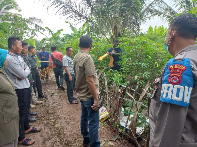 Mayat ABG di Kebun Singkong Hebohkan Warga Kemeri