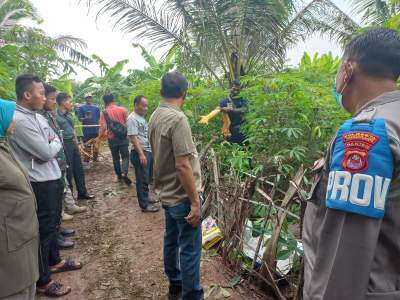Mayat ABG di Kebun Singkong Hebohkan Warga Kemeri