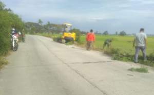 Dua Ekskavator di Turunkan, Bersihkan Pohon liar di Sepanjang Jalan Cirarab