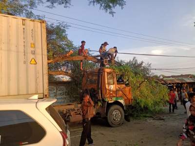 Pohon Besar di Tabrak Truk, Tak ada Korban Jiwa