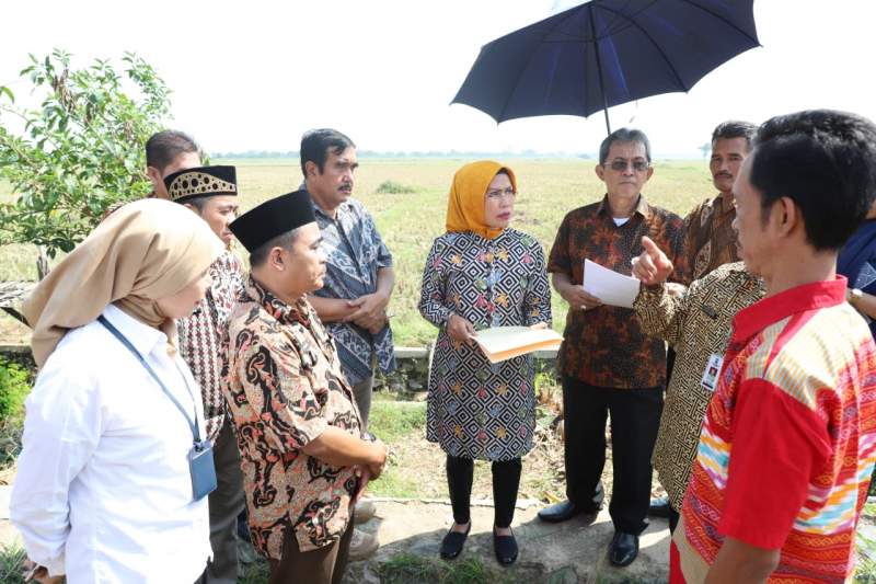 Bupati Serang Pantau Lahan Islamic Centre Syech Nawawi Albantani
