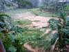 Kampung Cihareno Terendam Air Bercampur Lumpur