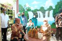 Tinjau Smart Kampung Desa Sukojati, Mendagri Ingin Inovasi di Banyuwangi Direplikasi