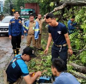 Pohon Tumbang di Kelapa Dua, Kabupaten Tangerang