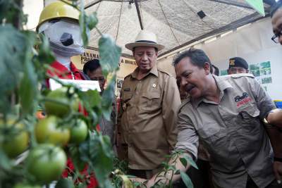 Distanak Banten Gelar Pekan Hortikultura 2017