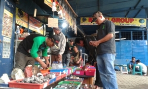 Ramainya penggemar batu cincin yang datang ke Bacan Group bertempat di Kemang, Kota Serang, Banten.