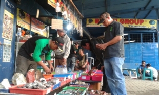 Ramainya penggemar batu cincin yang datang ke Bacan Group bertempat di Kemang, Kota Serang, Banten.