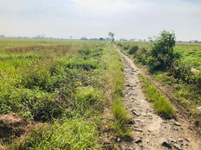 Tak Kunjung Dibangun Jalan Poros Desa Rusak Parah, Begini Kata Kades Gunung Sari