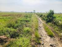 Tak Kunjung Dibangun Jalan Poros Desa Rusak Parah, Begini Kata Kades Gunung Sari