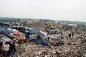 Proyek Pembangunan PLTS Rawa Kucing