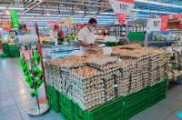 DPKP mengawasi sampel pakan ternak.