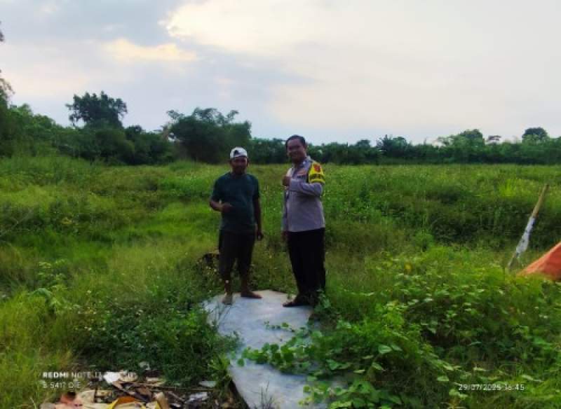 Cek Tanaman Jagung Bripka Sandi Polsek Pasar Kemis Perhatikan Kondisi Lahan
